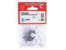 Гвозди декоративные с пластиковой головкой Стройбат (80 шт)белые  картинка